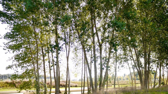 Urban Park and Public Spaces in the Perelló by Manuel Ruisanchez