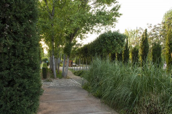 The Garden of The Senses by VAM10