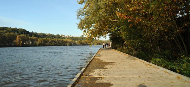 Banks of Saône by BASE