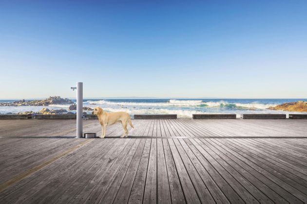 Fuente – Fuente Dog