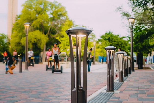 Hawthorne Path Light