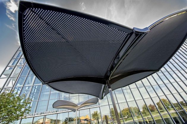 Shade Umbrella