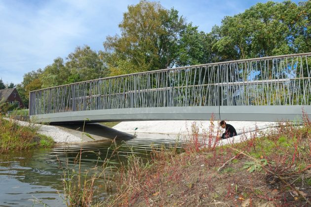Bowie Bridges