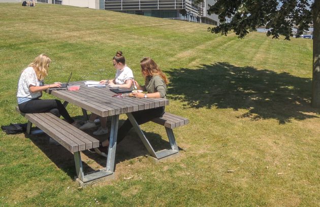 X-Table Picnic Sets
