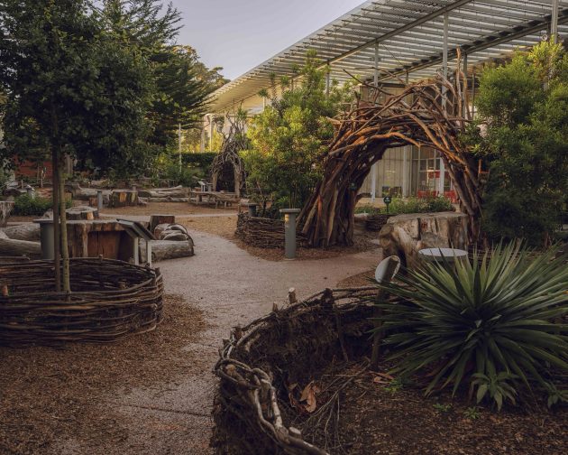 Wander Woods at California Academy of Sciences by Terremoto